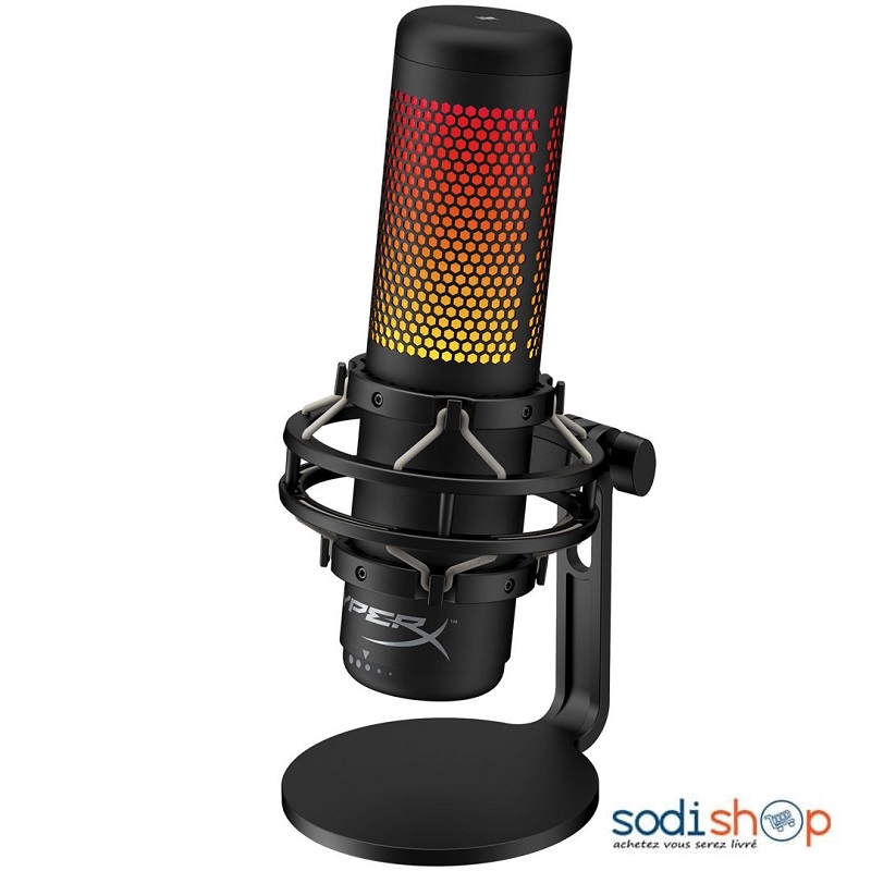 Microphone Professionnel BM-800 à Condensateur V8 + Accessoires -  Professional Condenser Microphone DUB0101 - Sodishop